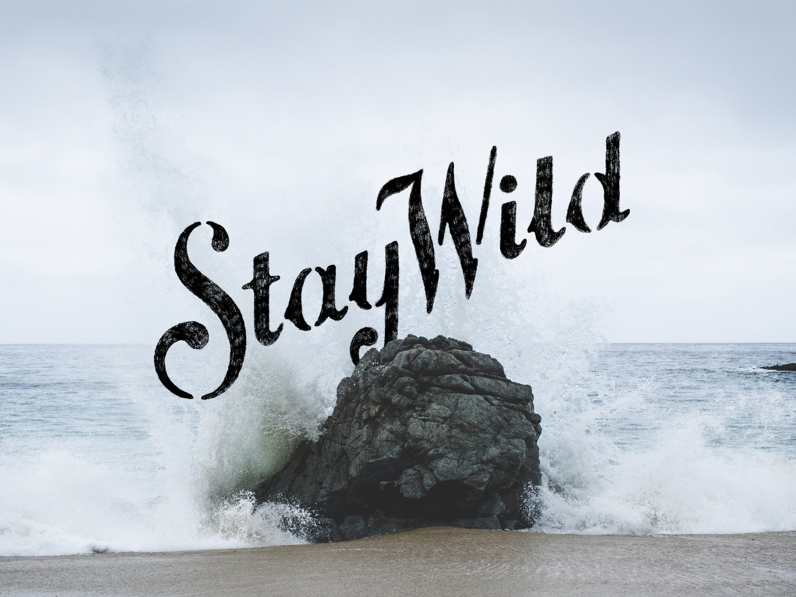 StayWild_Will_Langenberg